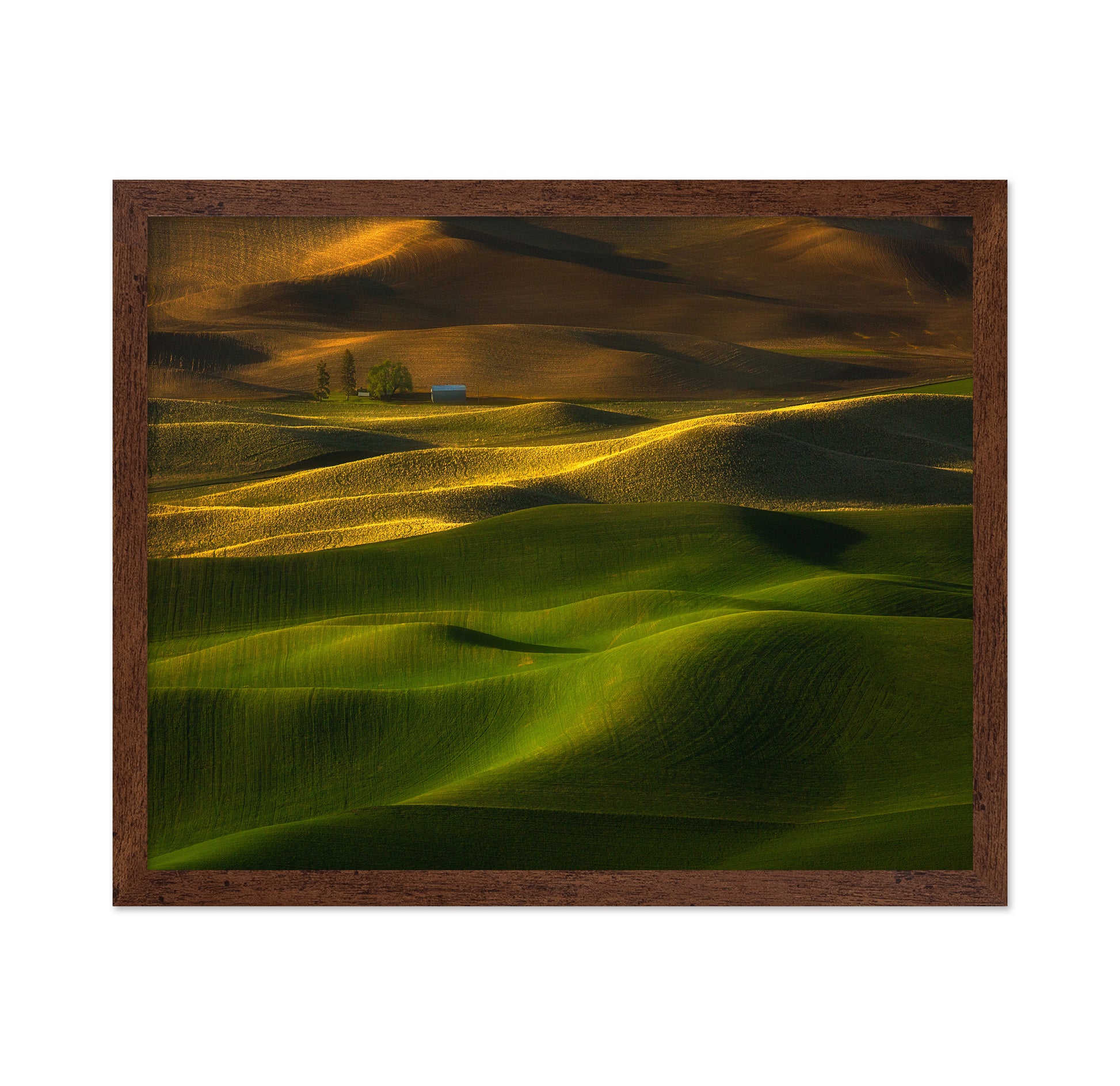 The Color Of The Earth