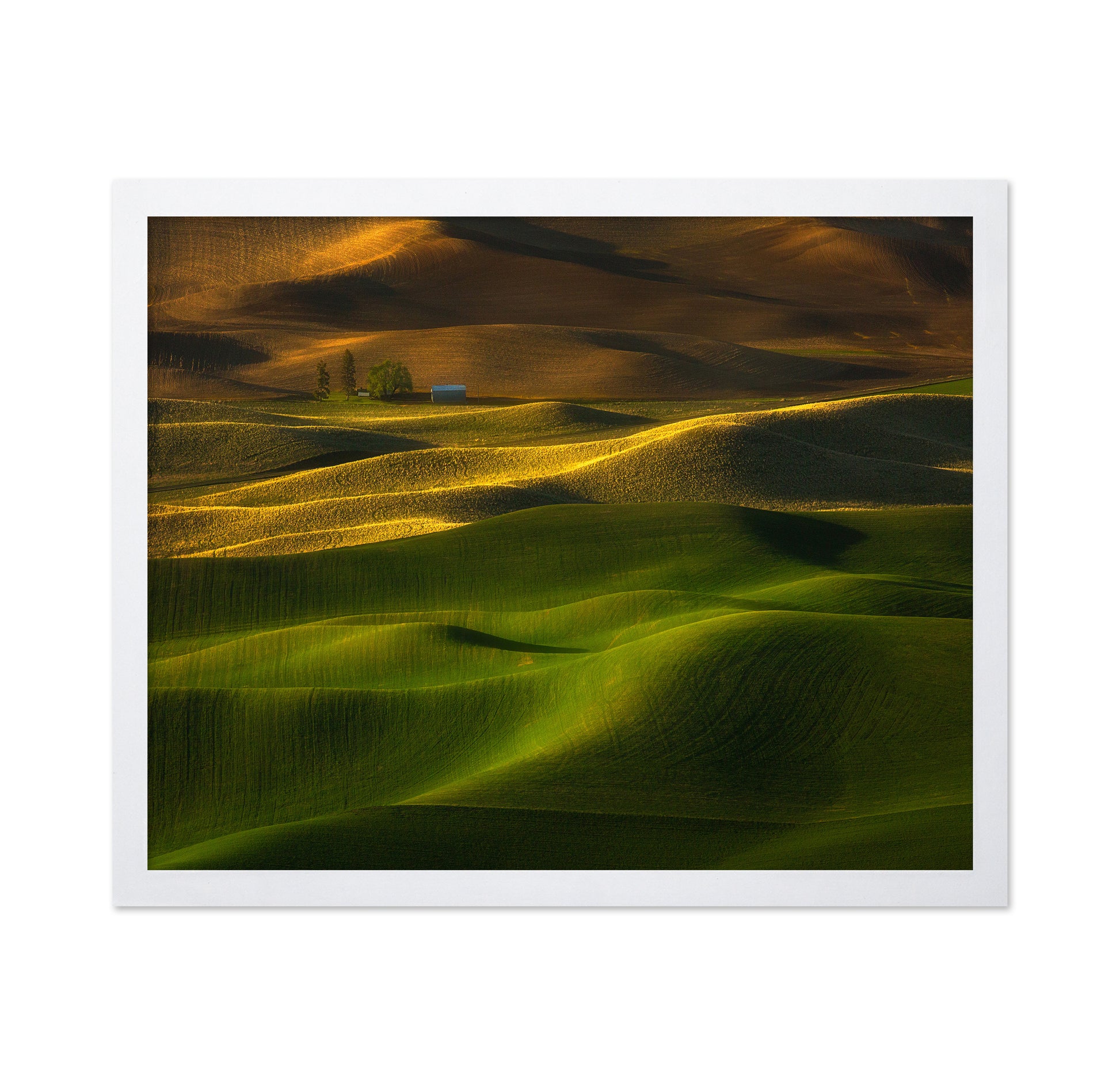 The Color Of The Earth