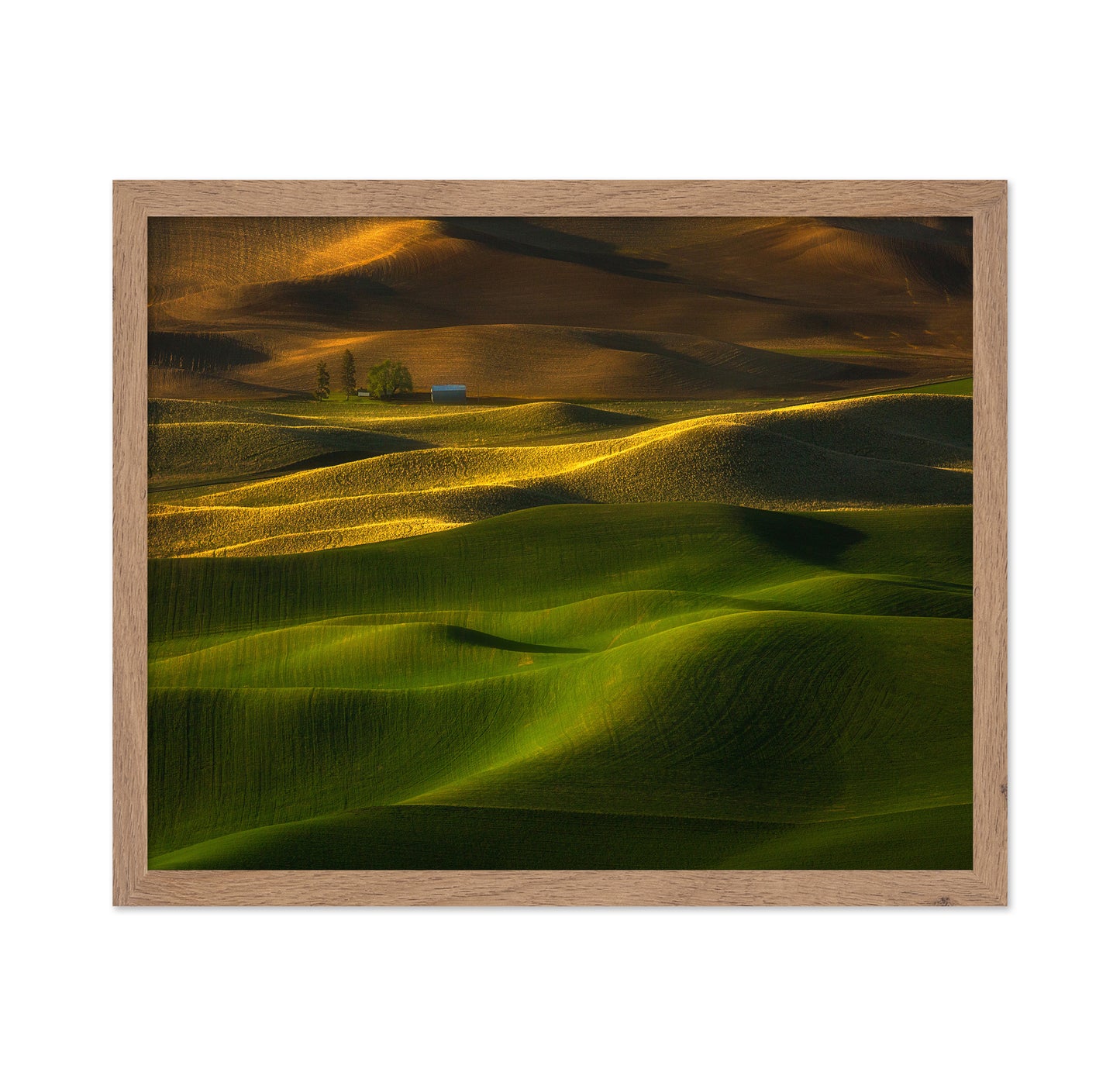 The Color Of The Earth