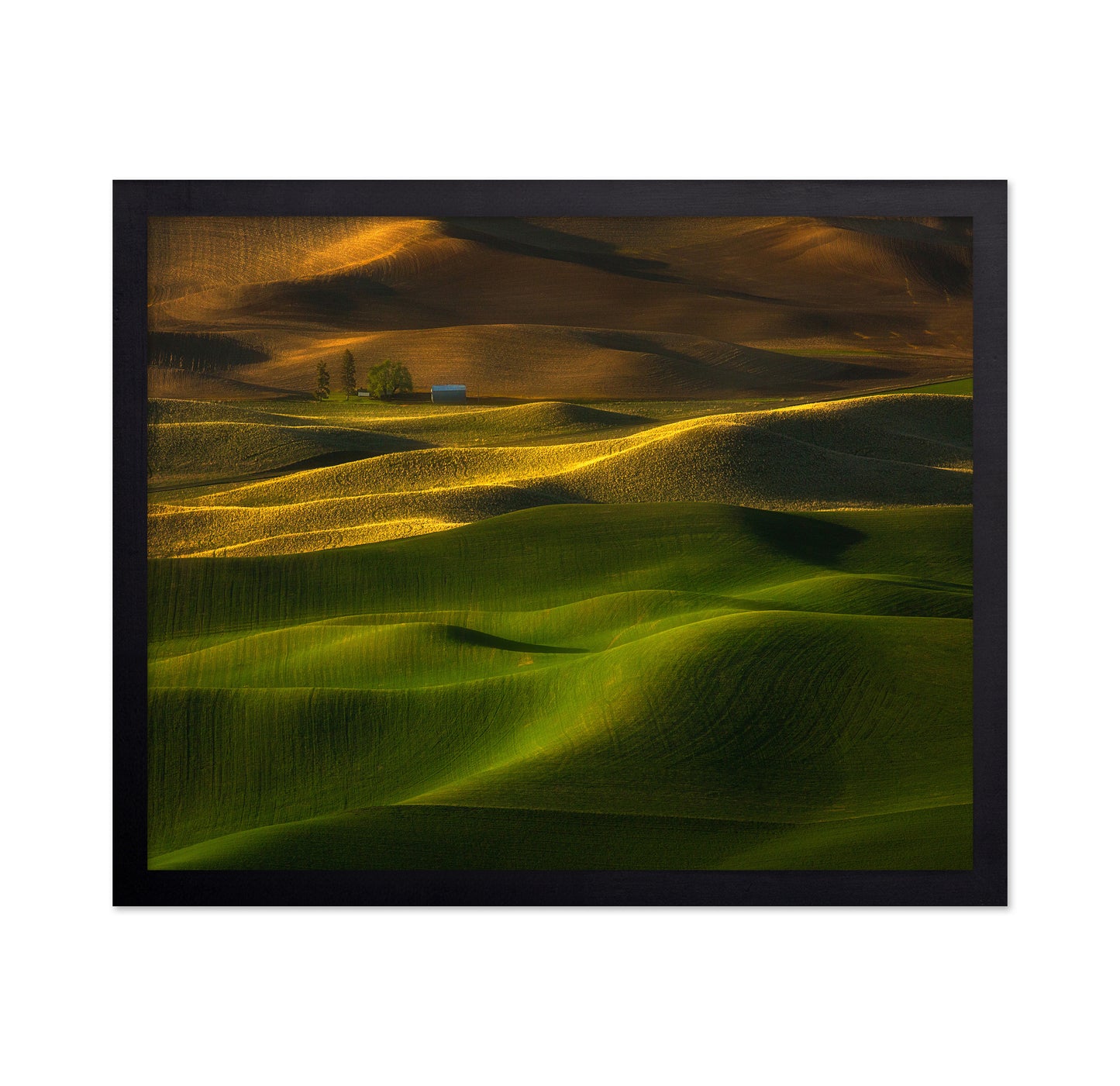 The Color Of The Earth