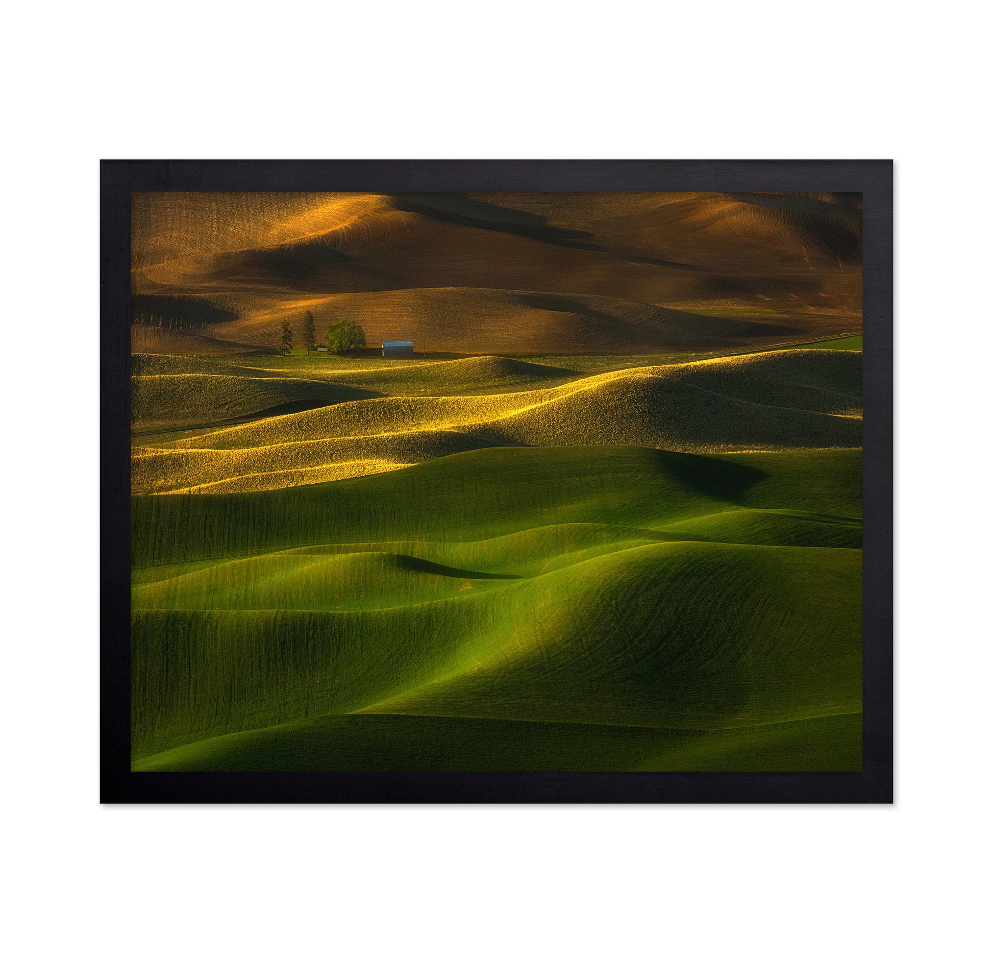 The Color Of The Earth
