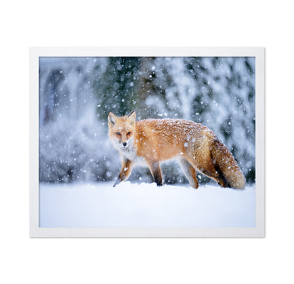 Snowy Day