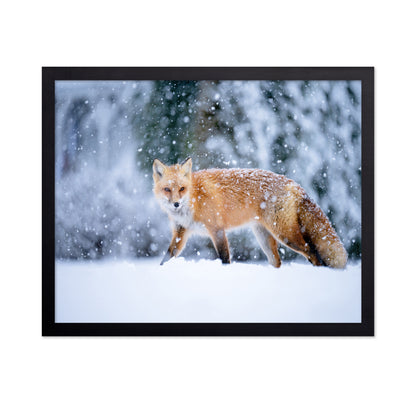 Snowy Day