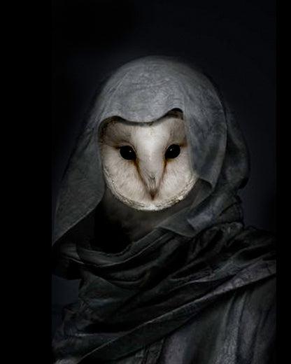 The Conjurer