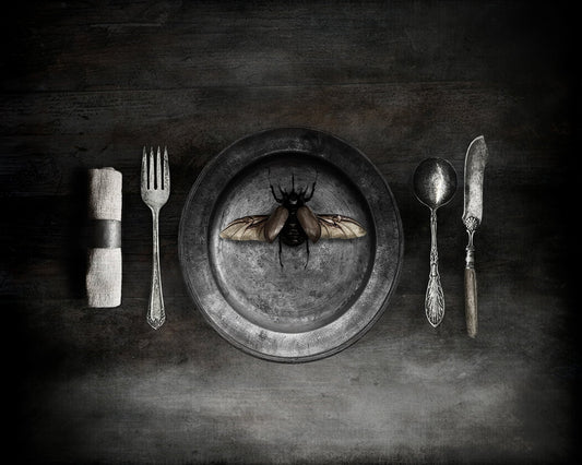 Insect on a Dinner Plate