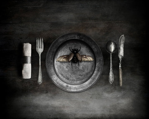 Insect on a Dinner Plate