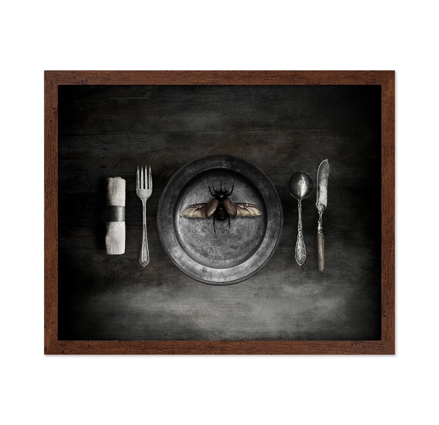 Insect on a Dinner Plate