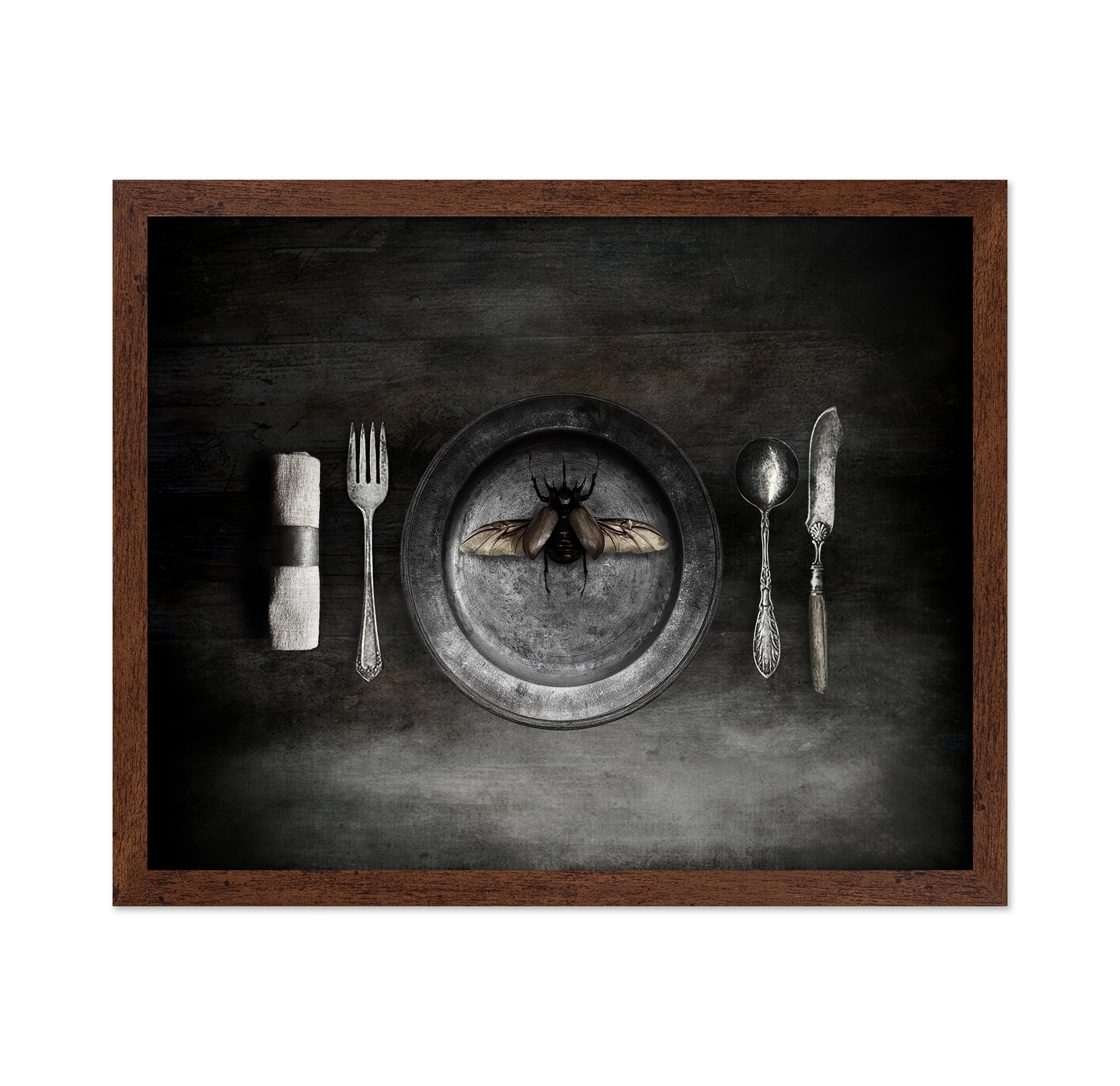 Insect on a Dinner Plate