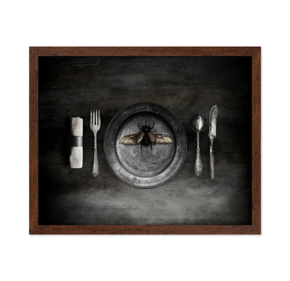 Insect on a Dinner Plate