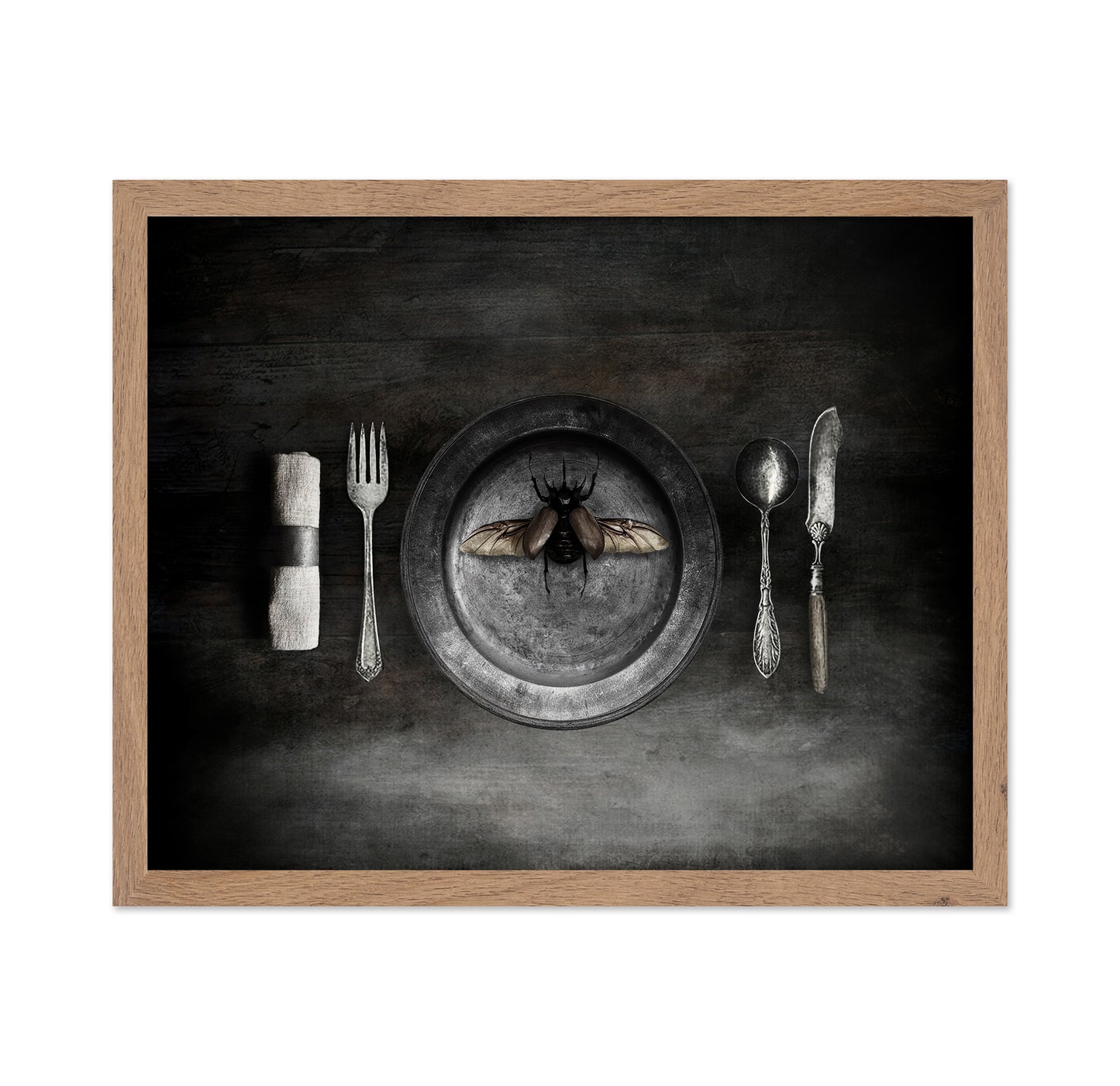 Insect on a Dinner Plate