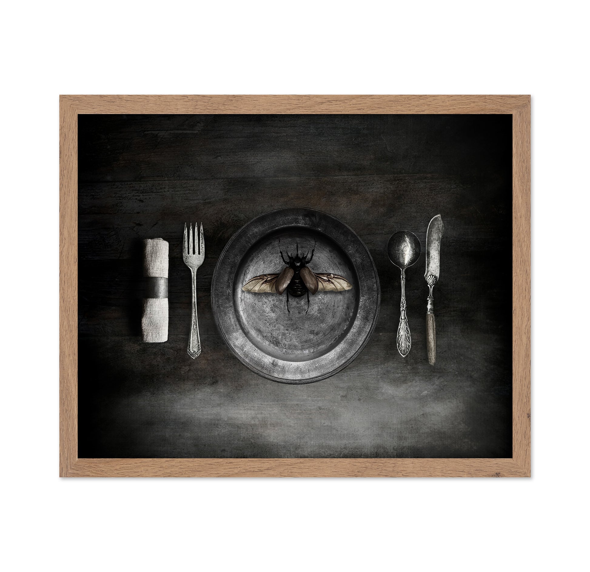 Insect on a Dinner Plate