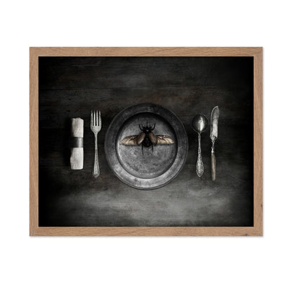 Insect on a Dinner Plate