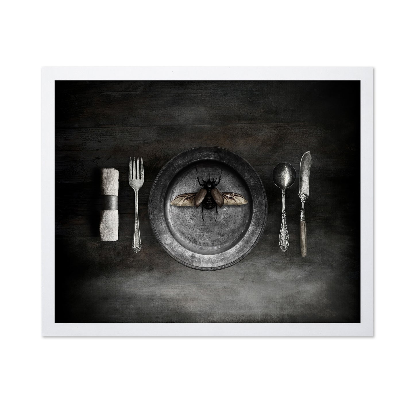 Insect on a Dinner Plate
