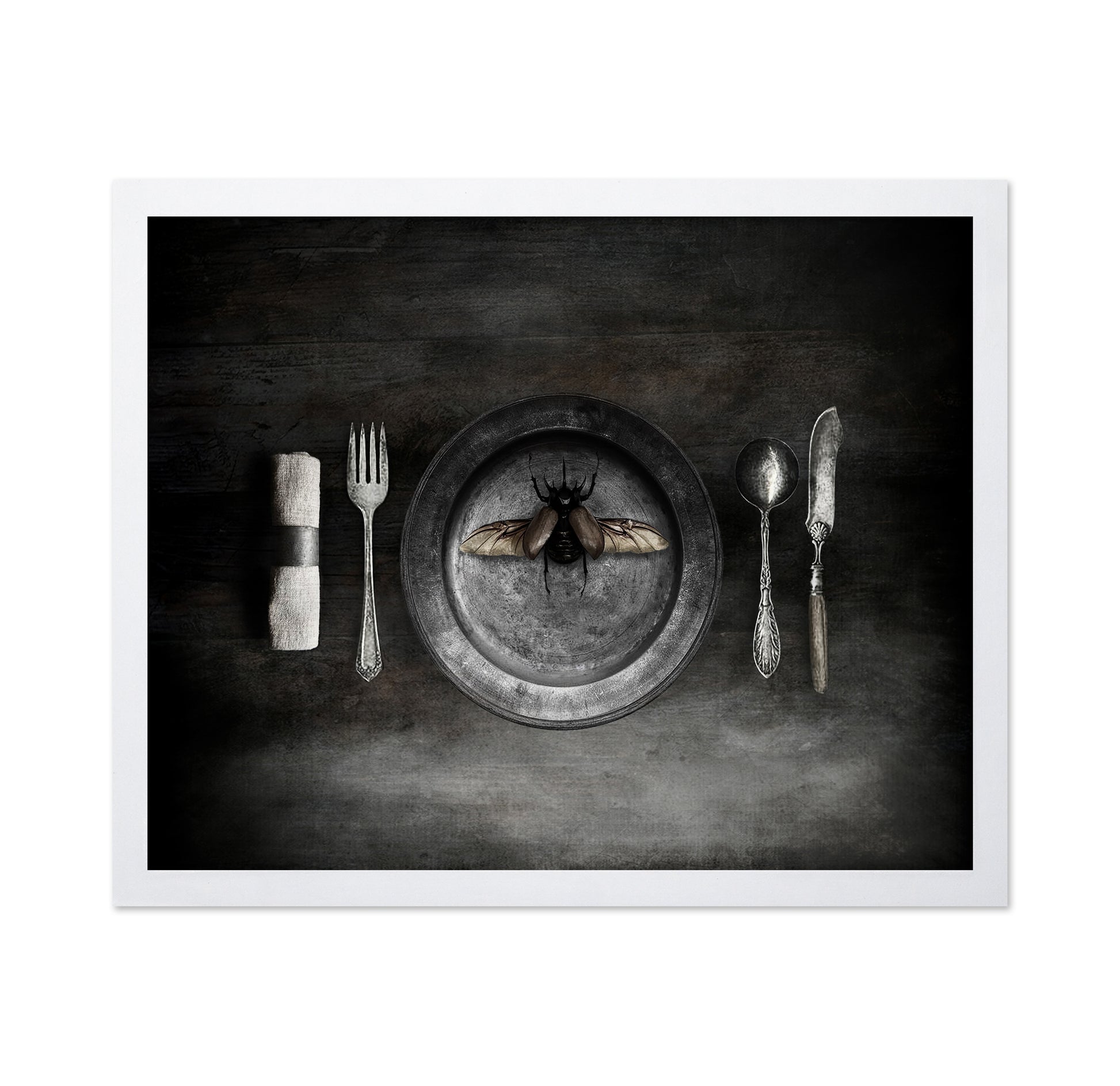 Insect on a Dinner Plate