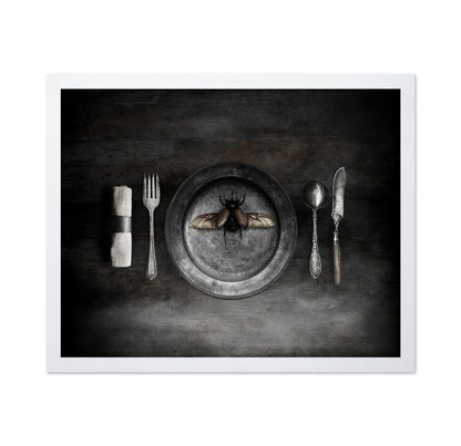Insect on a Dinner Plate