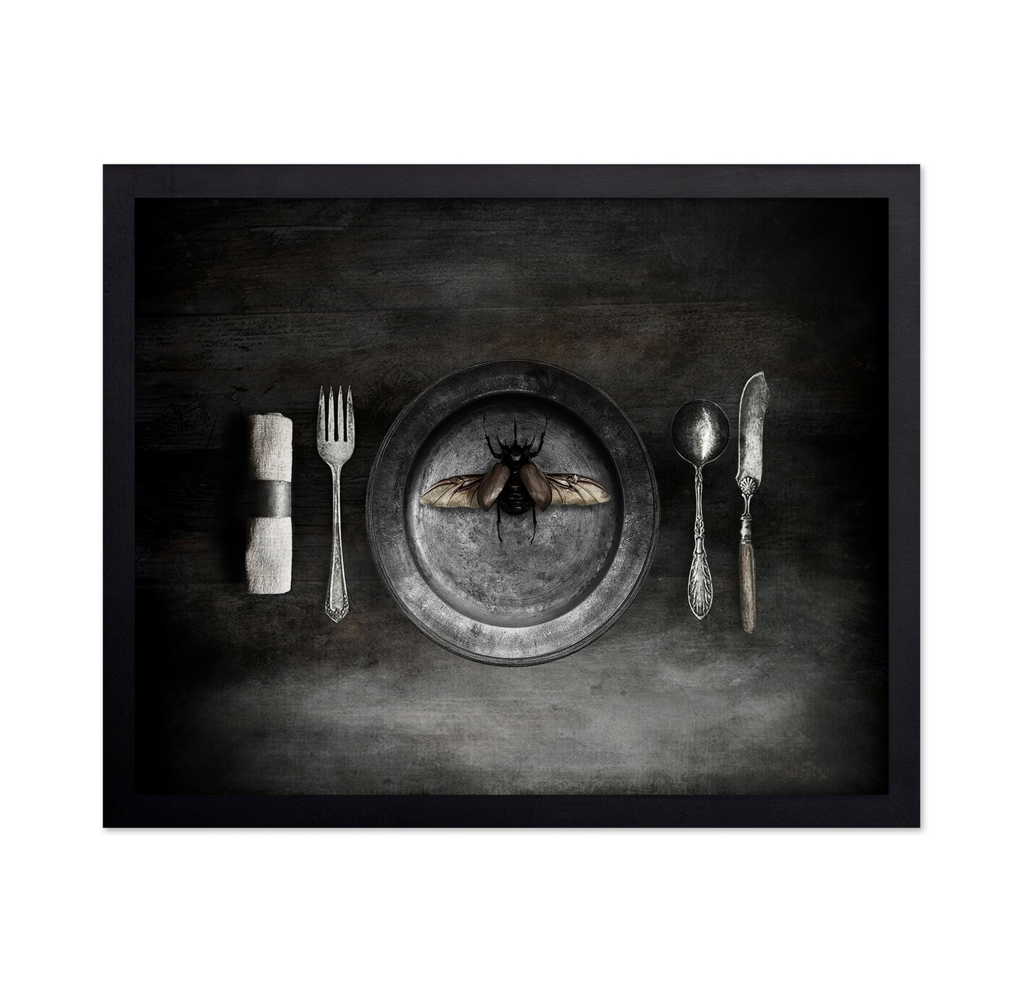 Insect on a Dinner Plate