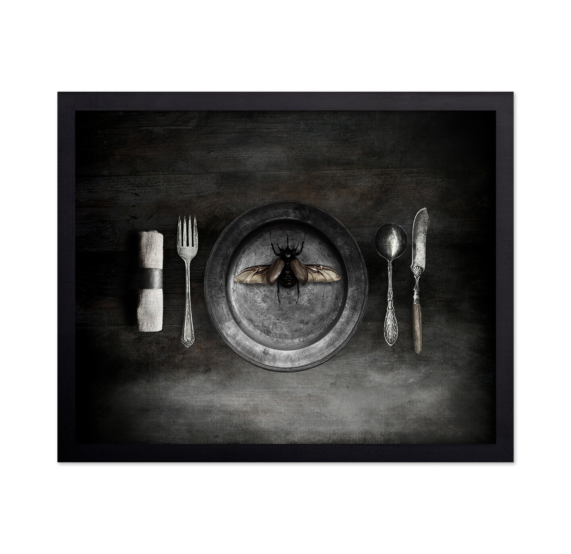 Insect on a Dinner Plate