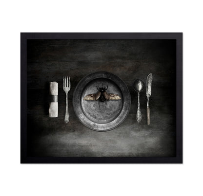 Insect on a Dinner Plate