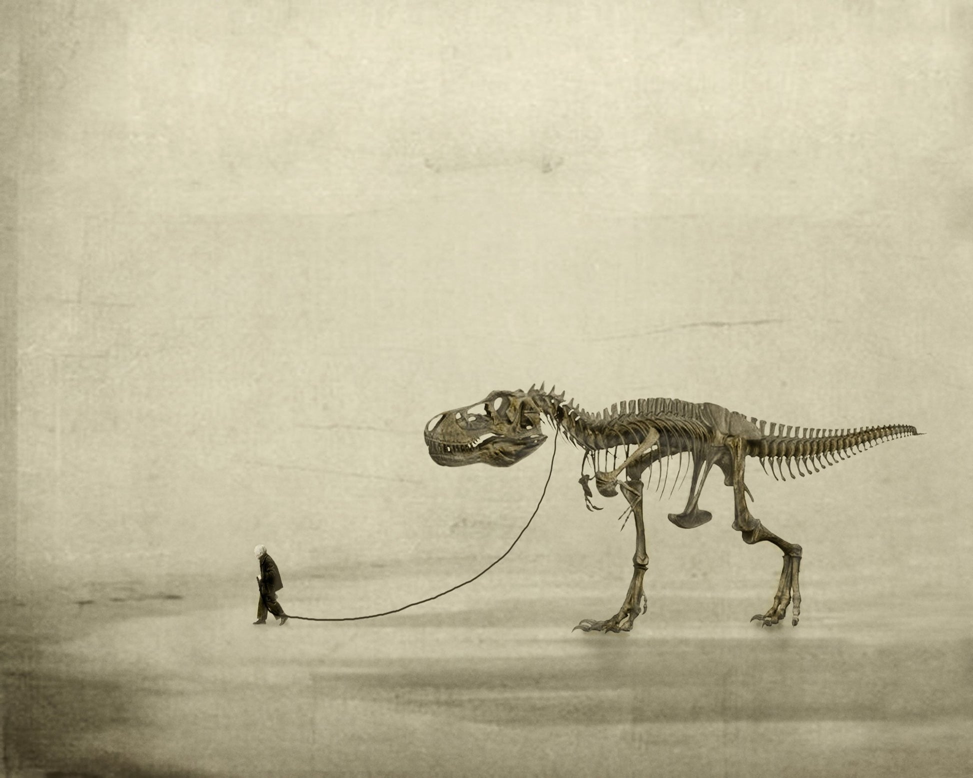 A Prehistoric Companion