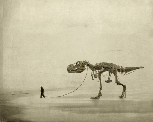 A Prehistoric Companion