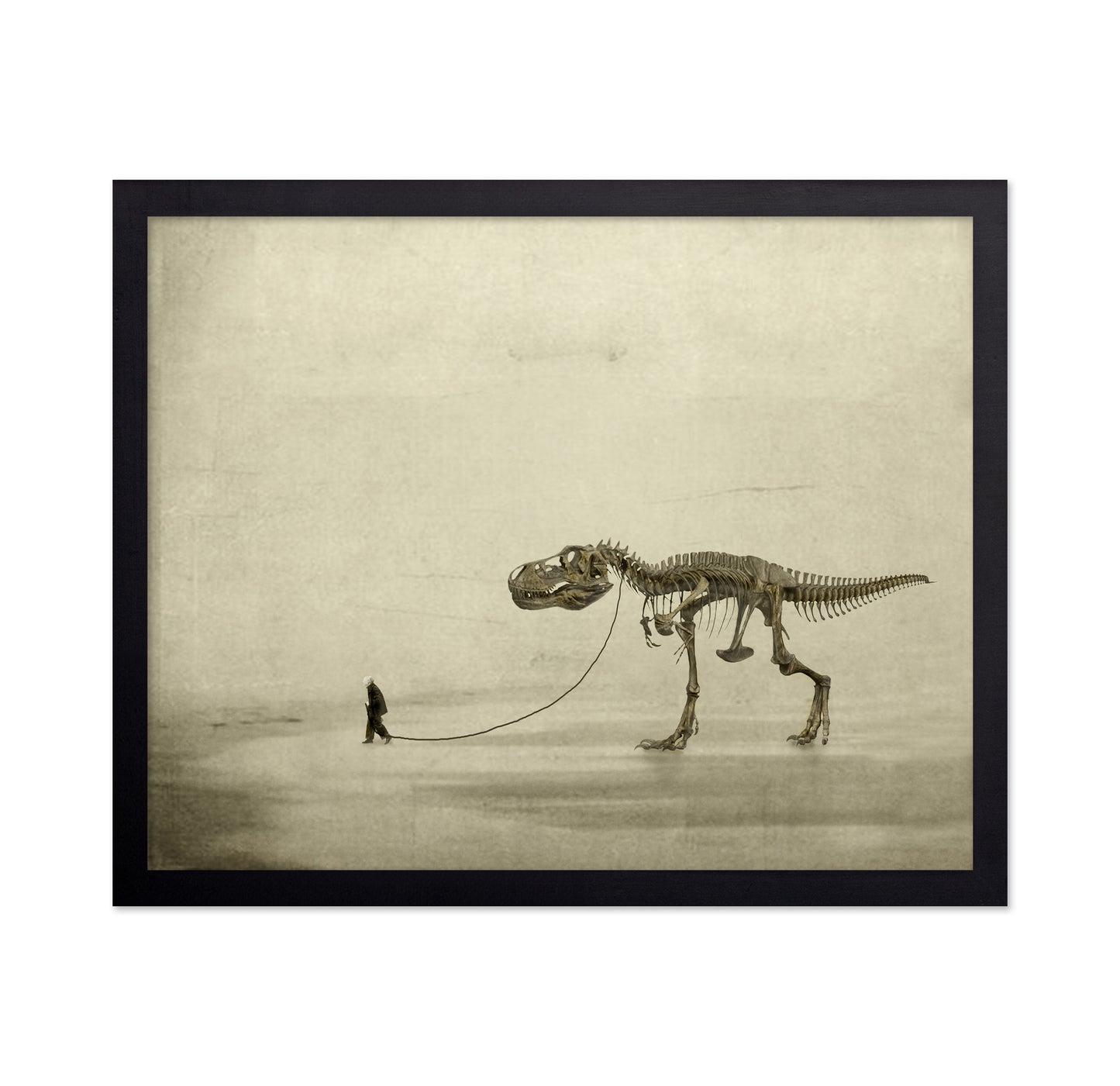 A Prehistoric Companion