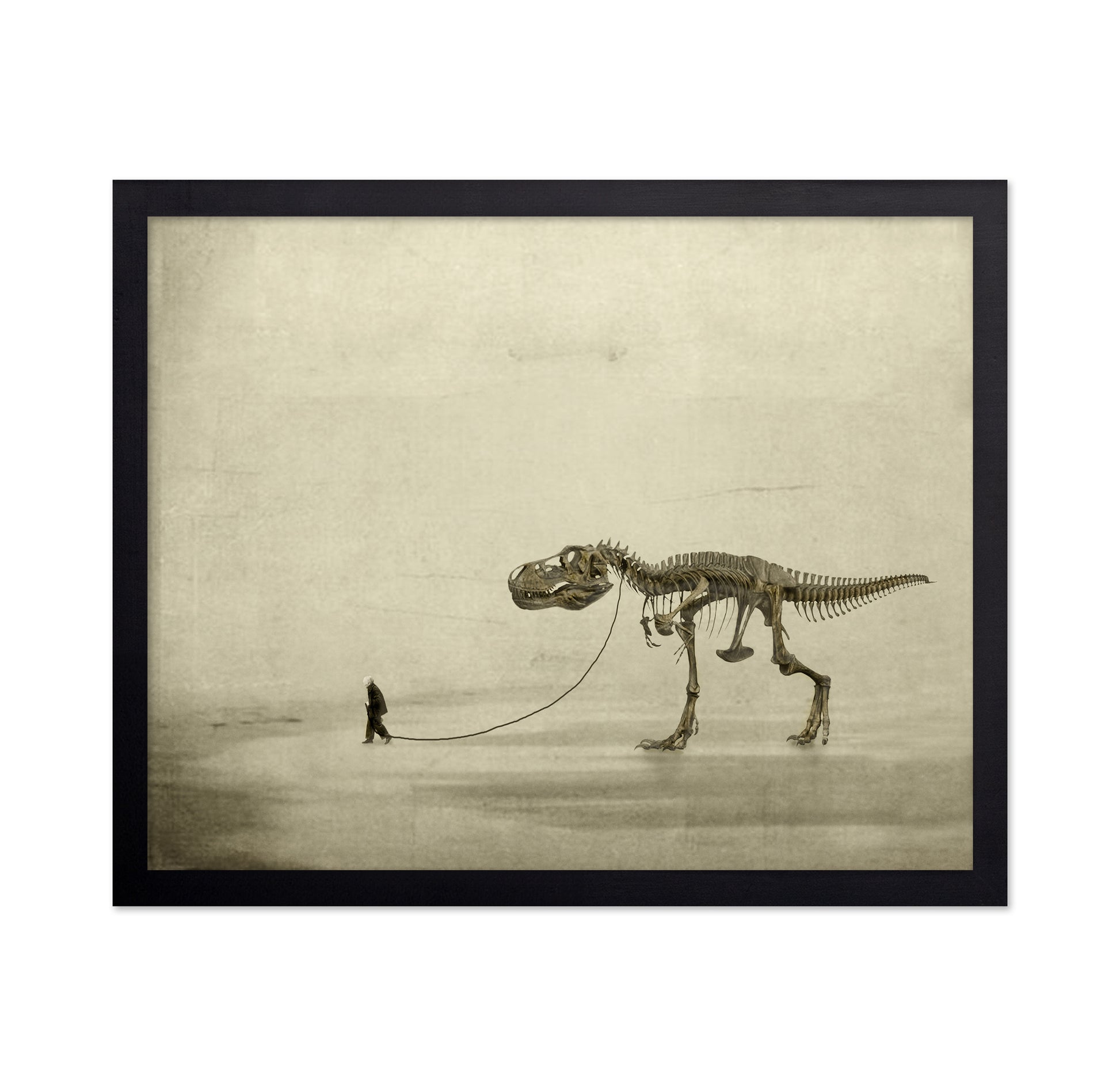 A Prehistoric Companion