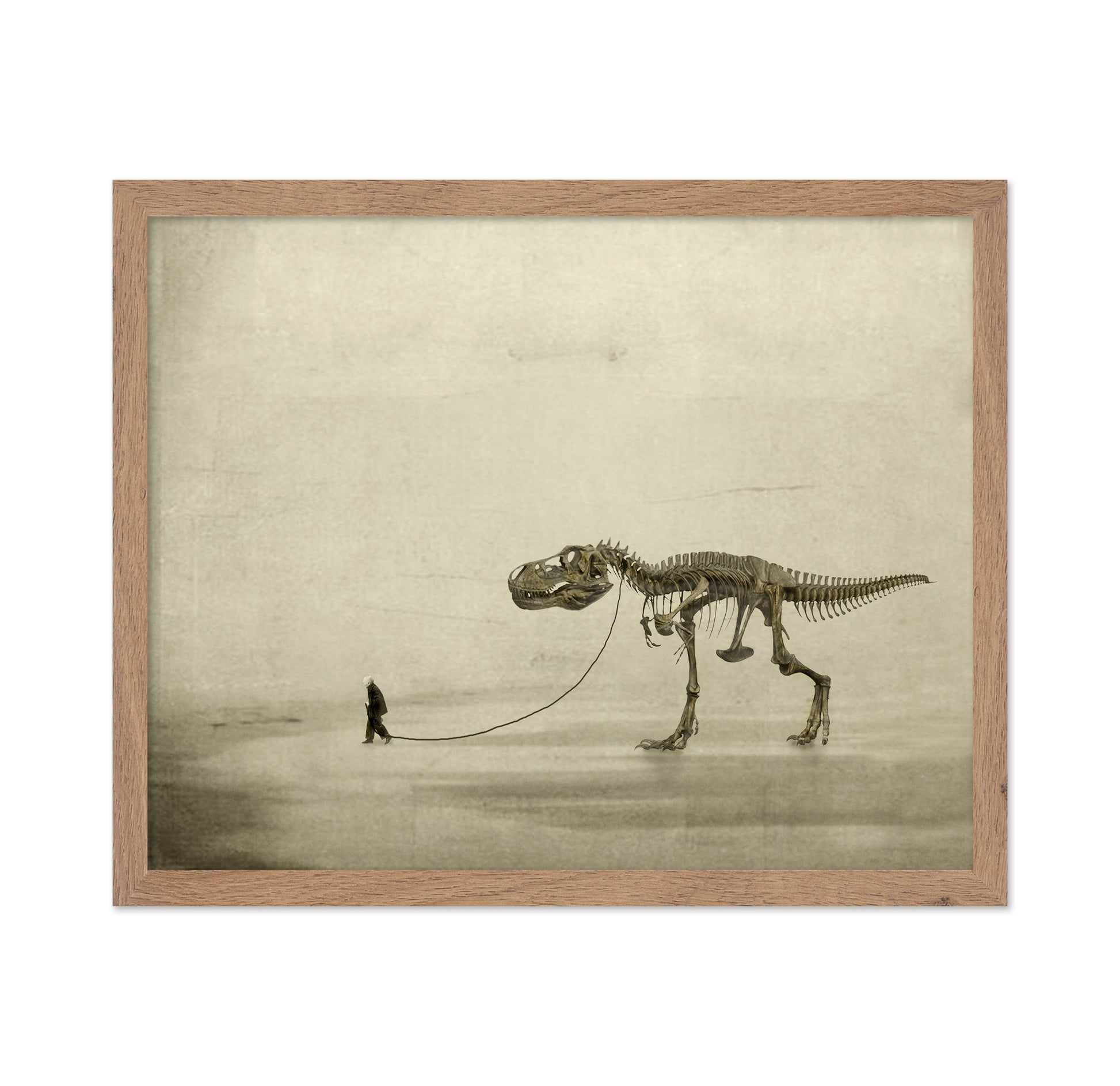 A Prehistoric Companion