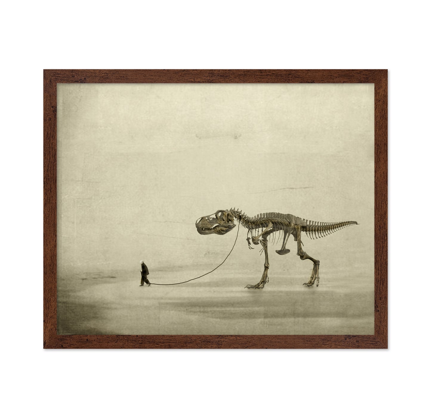 A Prehistoric Companion