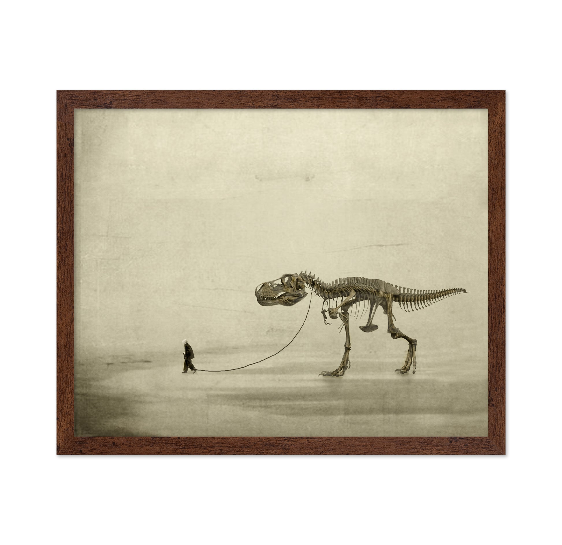 A Prehistoric Companion