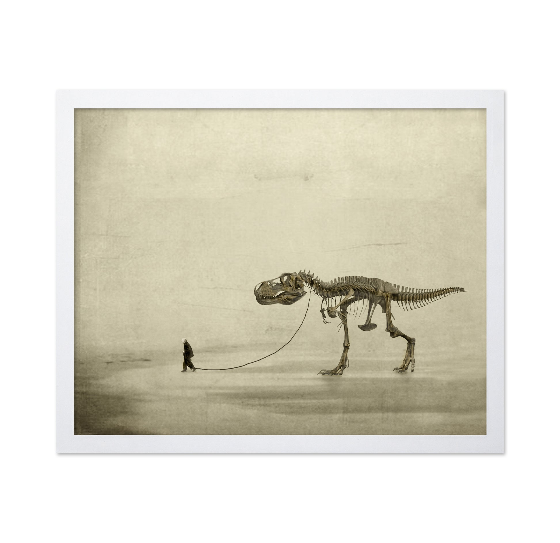 A Prehistoric Companion