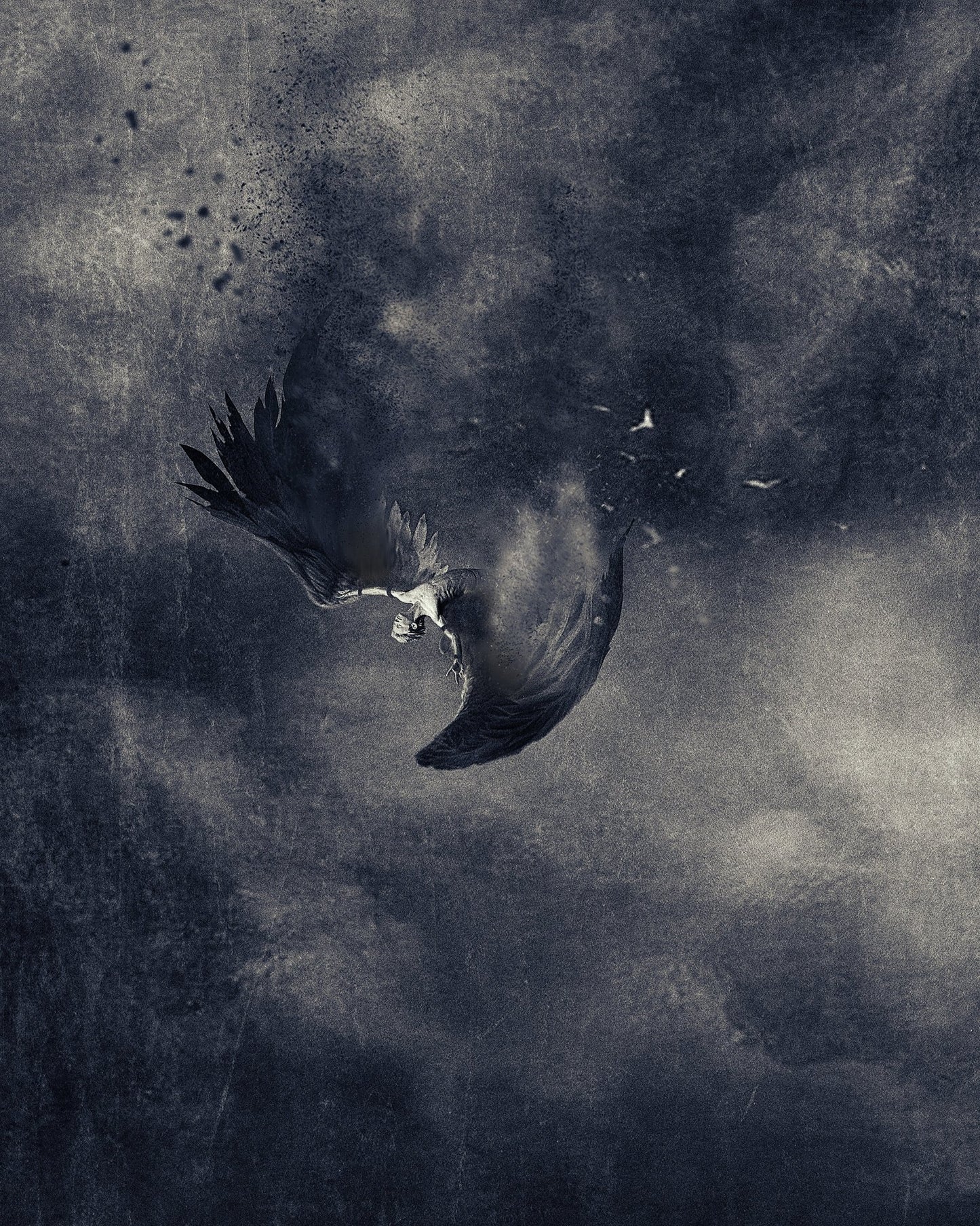 Icarus