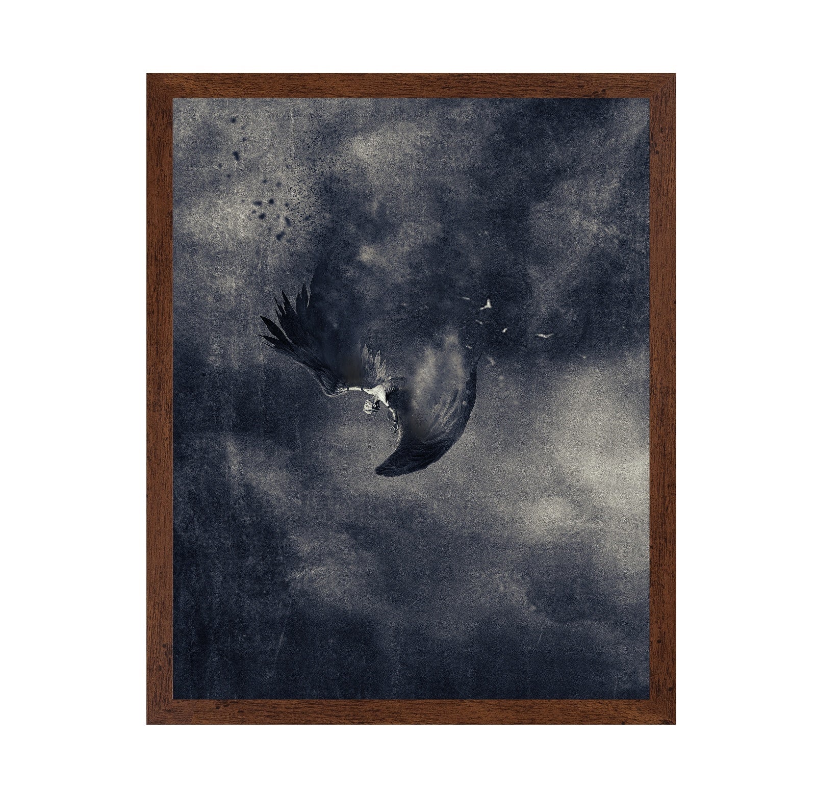 Icarus