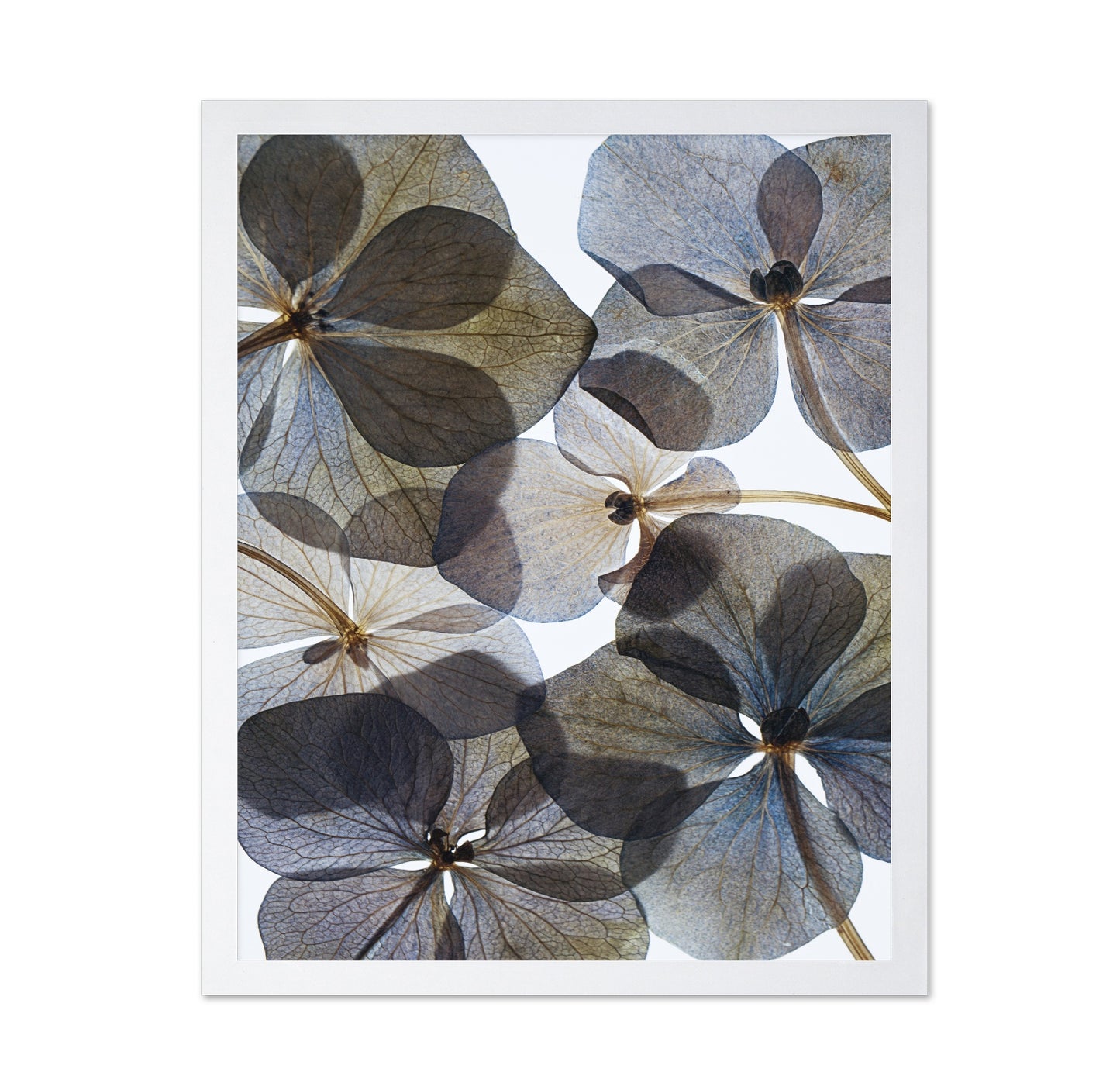 Botanical No 1