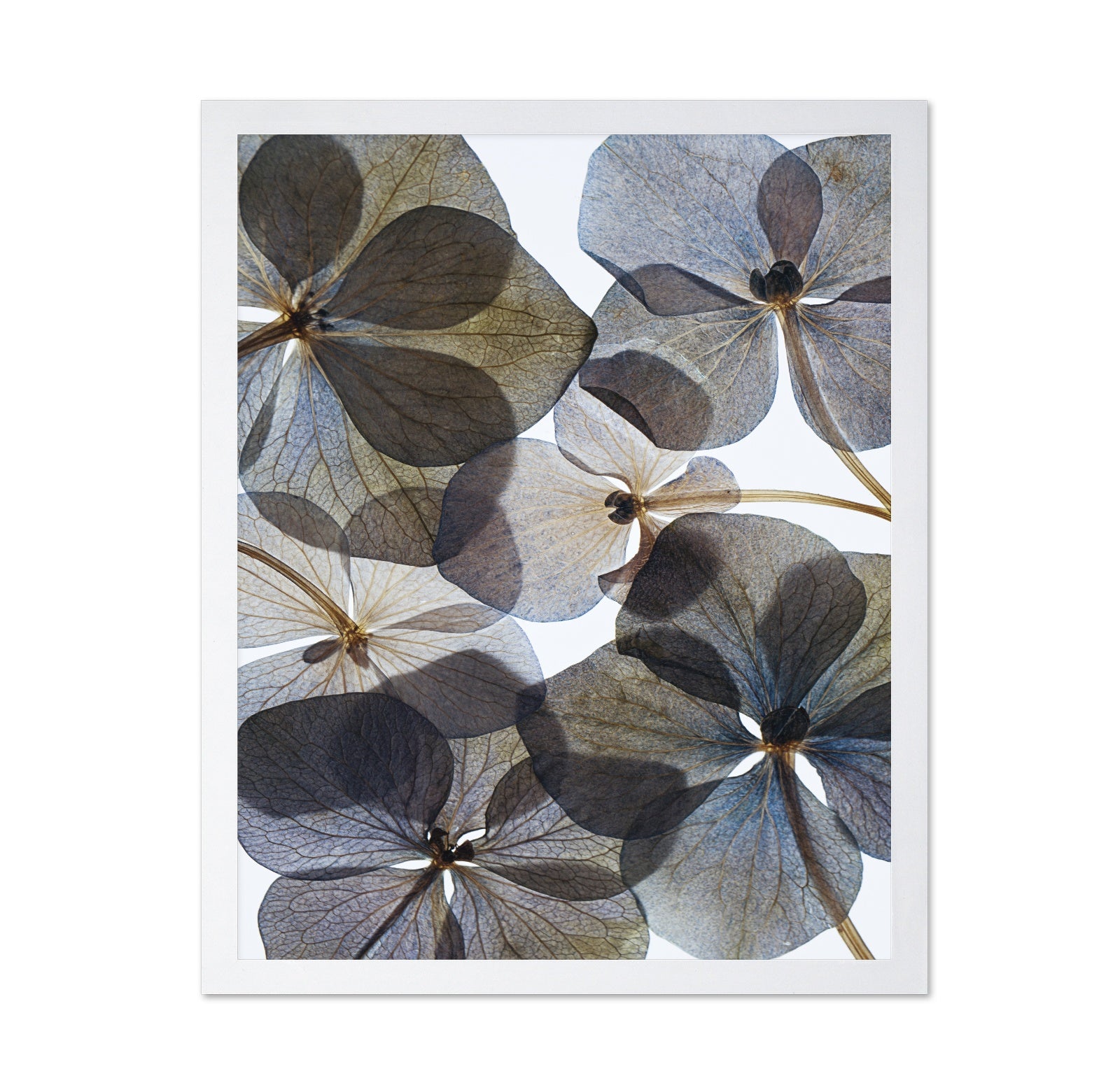 Botanical No 1