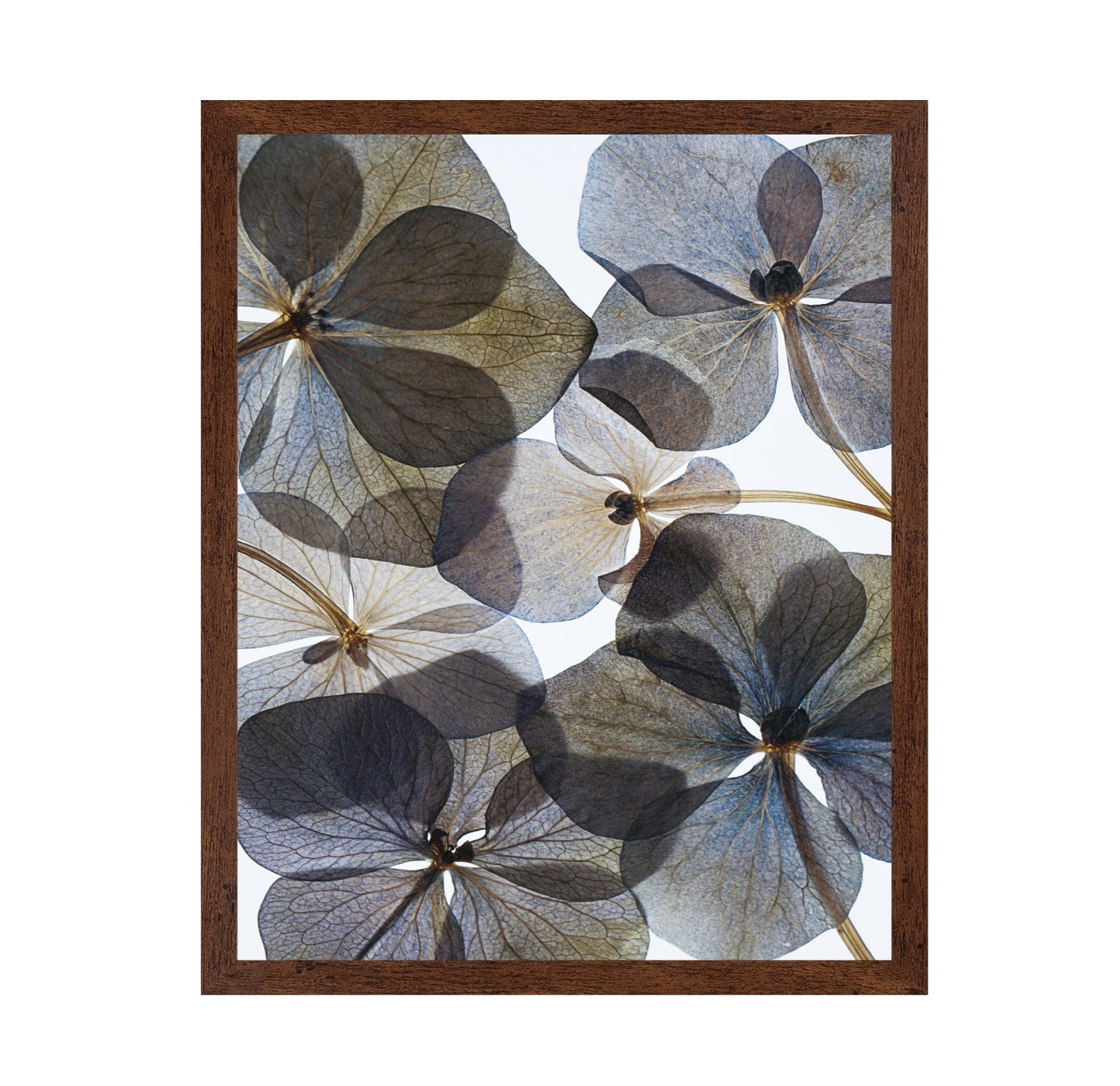 Botanical No 1