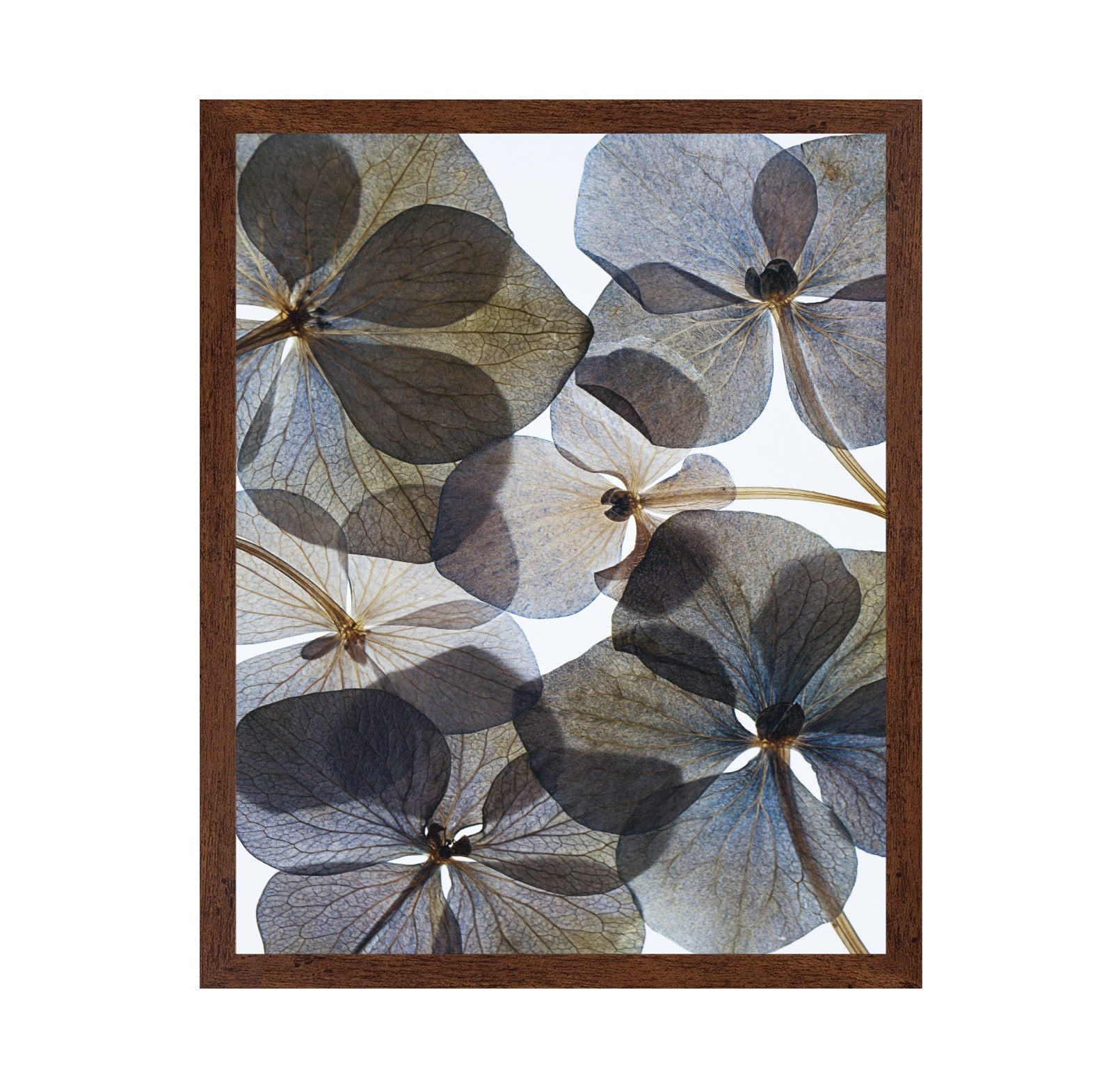 Botanical No 1