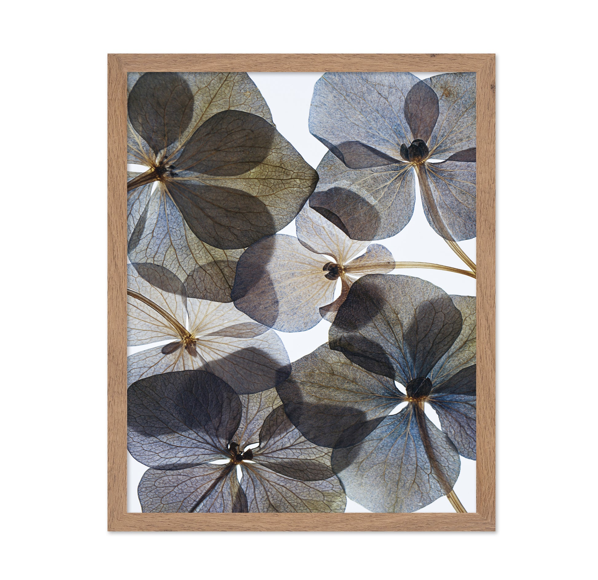 Botanical No 1