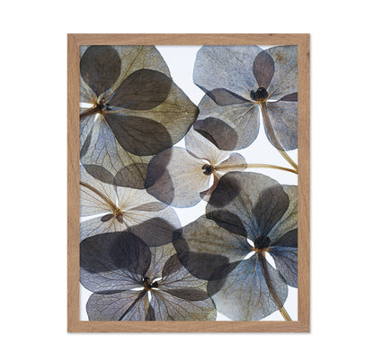 Botanical No 1