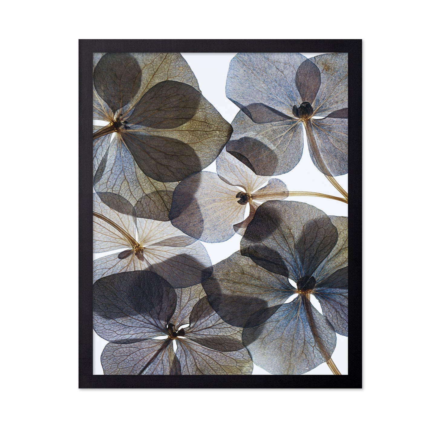Botanical No 1