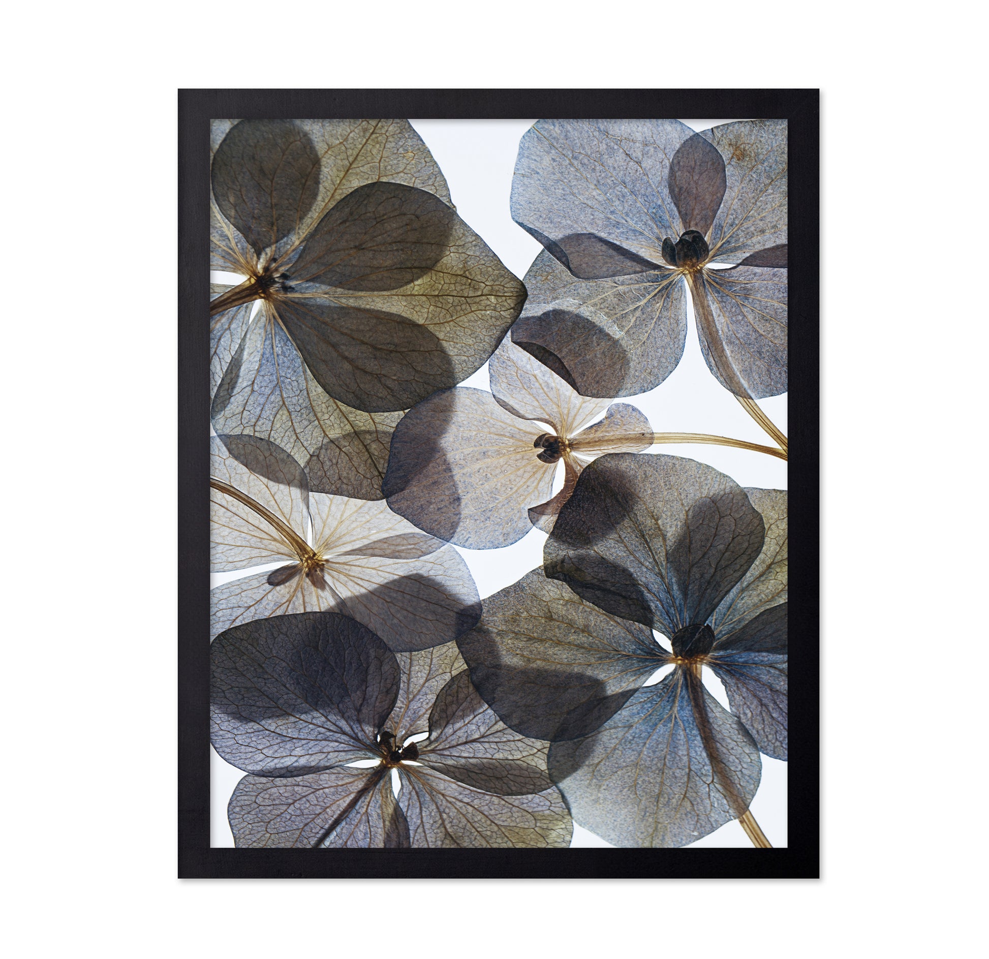 Botanical No 1
