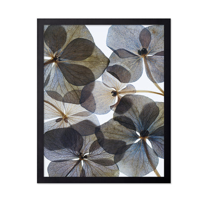 Botanical No 1