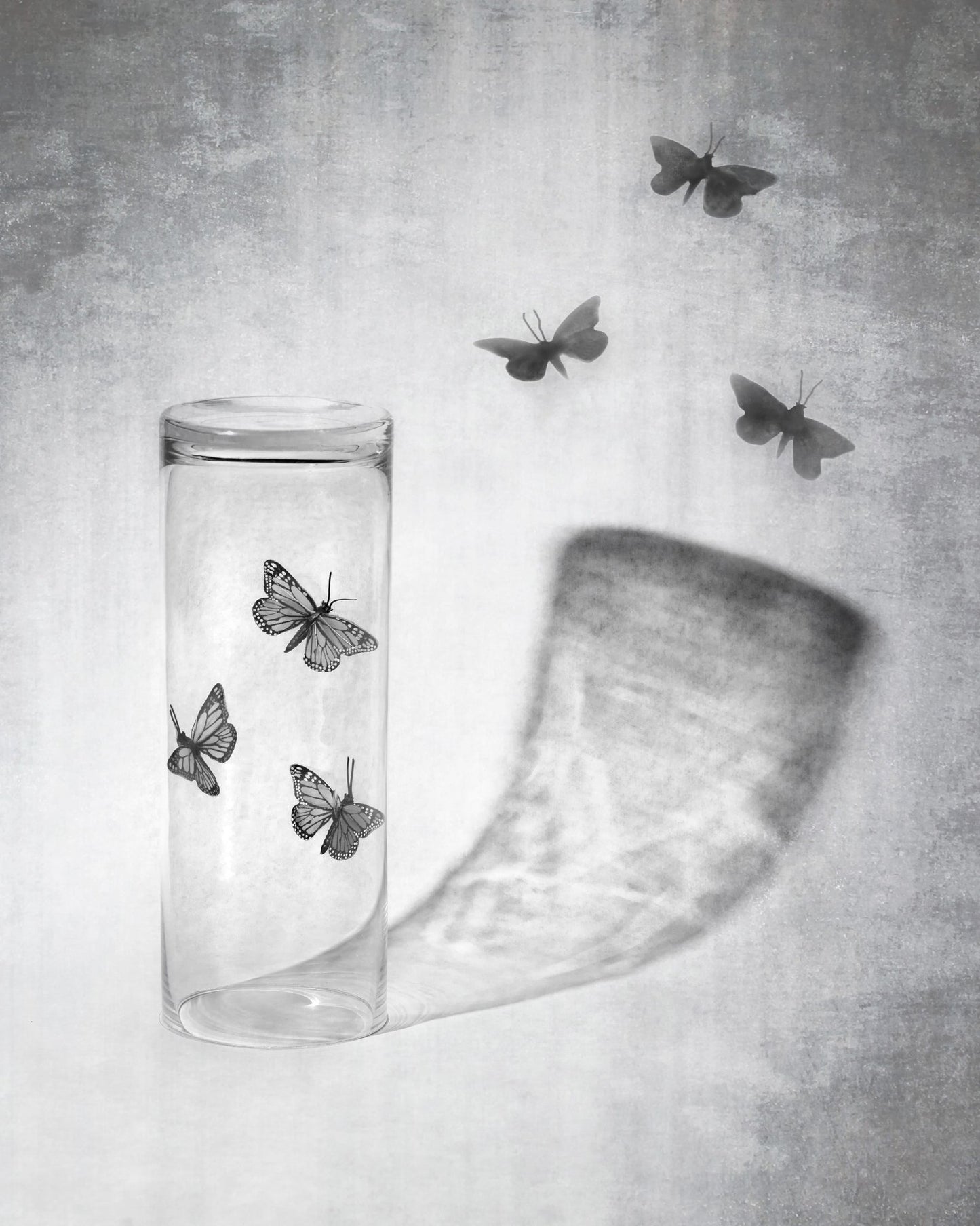 Butterflies in a Jar