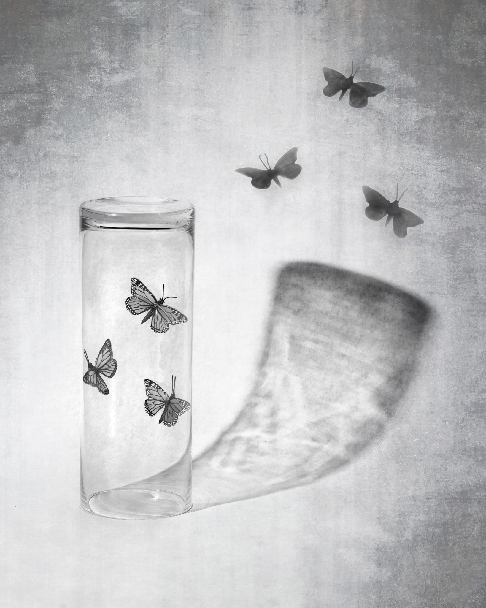 Butterflies in a Jar