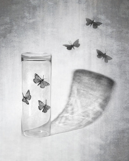 Butterflies in a Jar