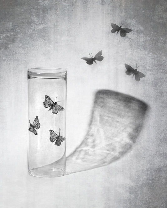Butterflies in a Jar