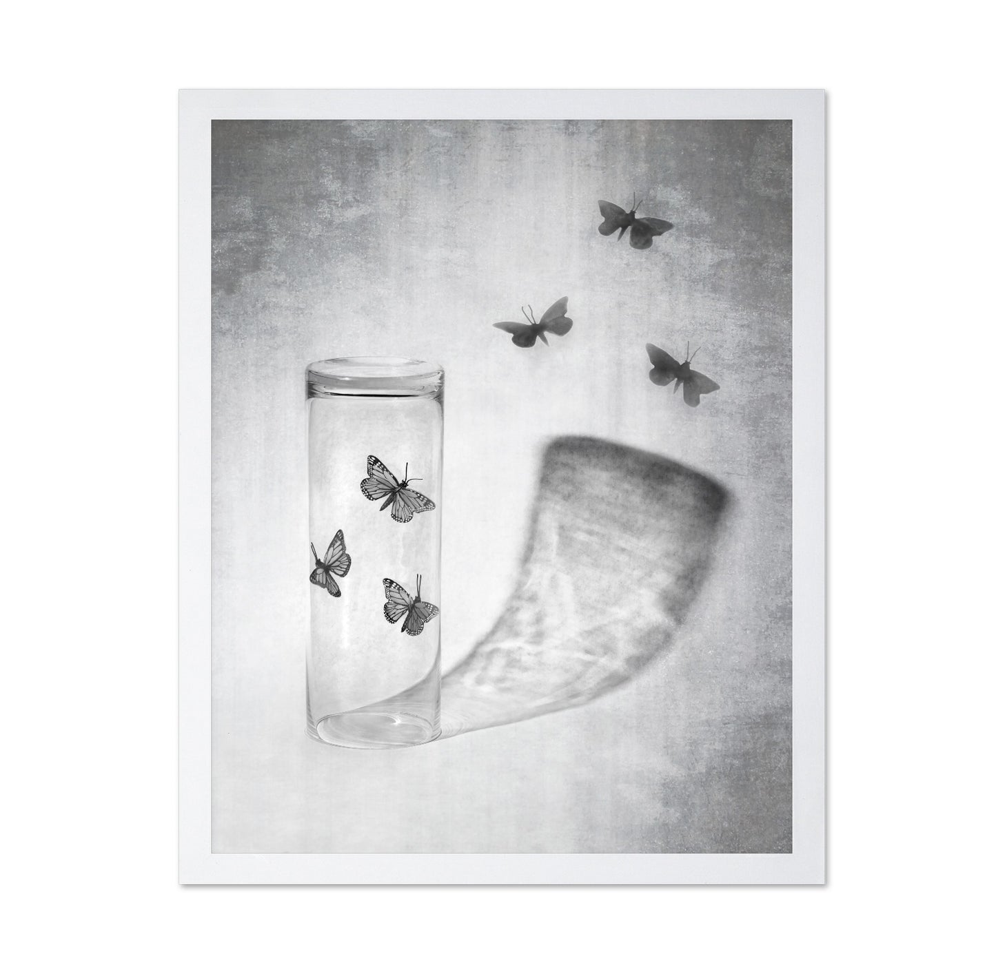 Butterflies in a Jar