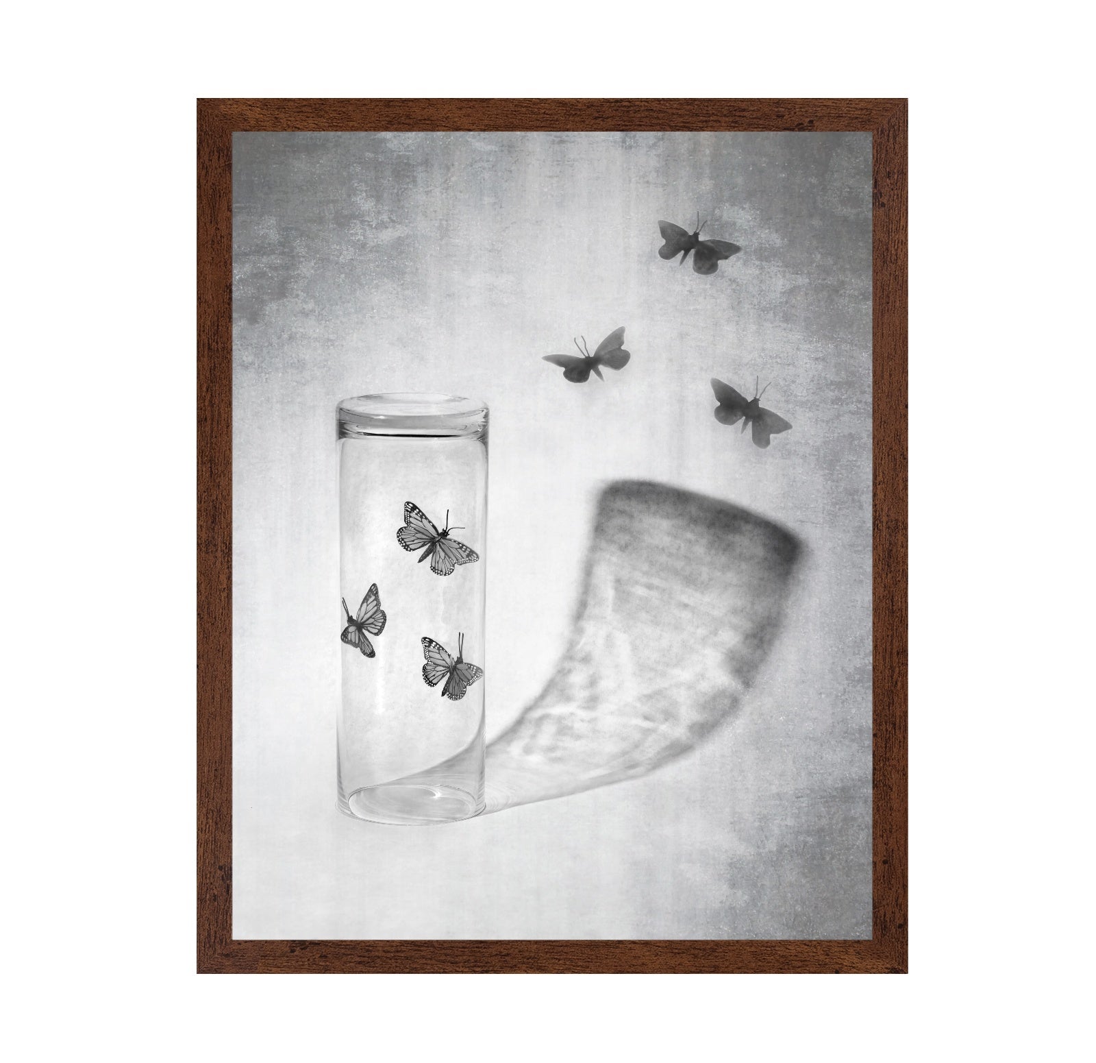 Butterflies in a Jar