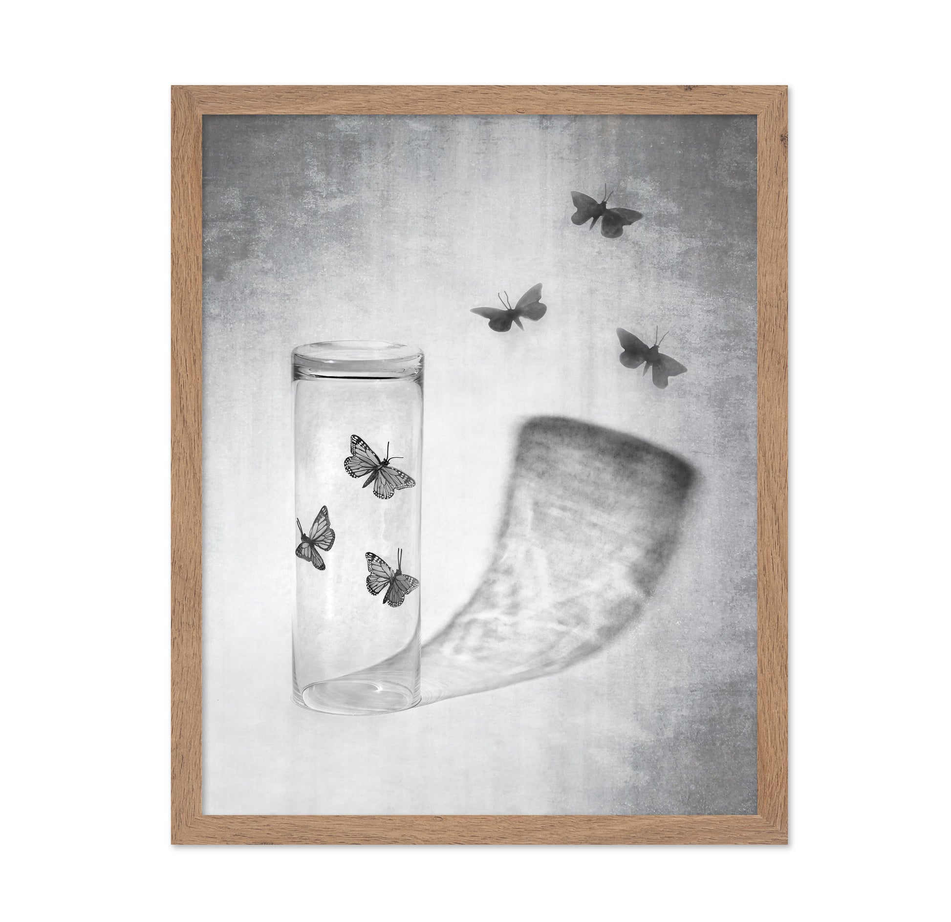 Butterflies in a Jar