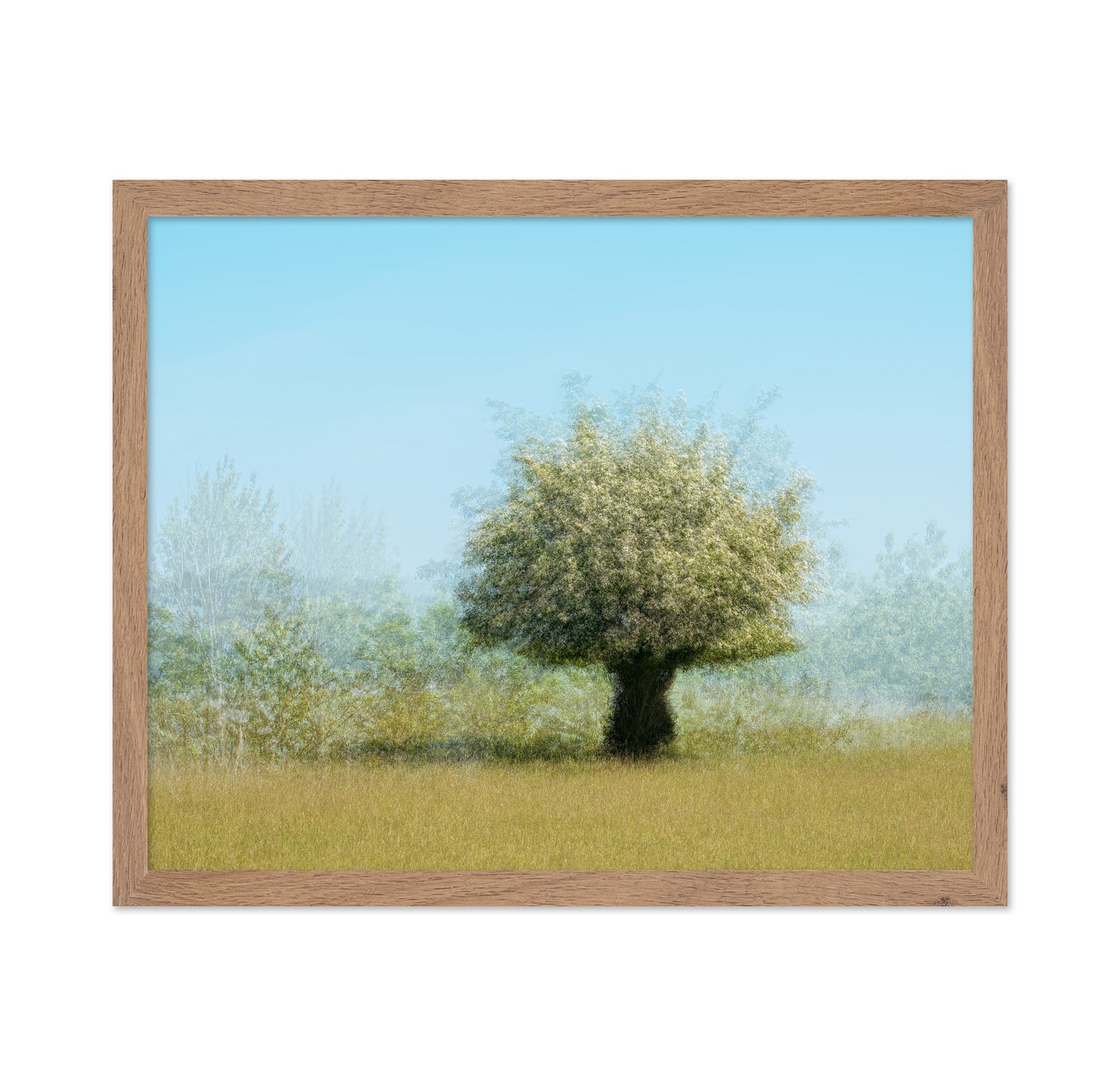 Tree With Flowers