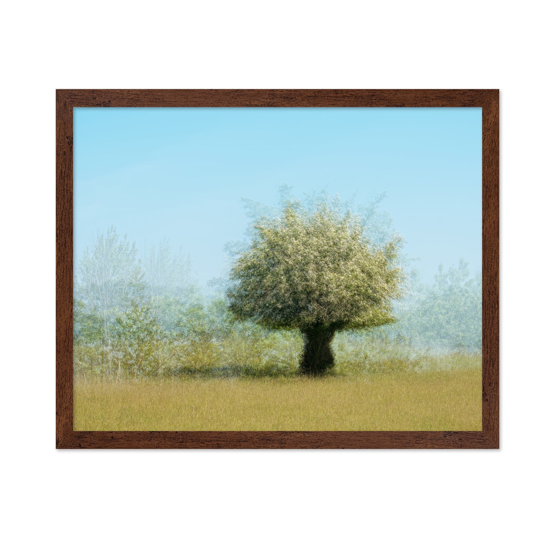 Tree With Flowers